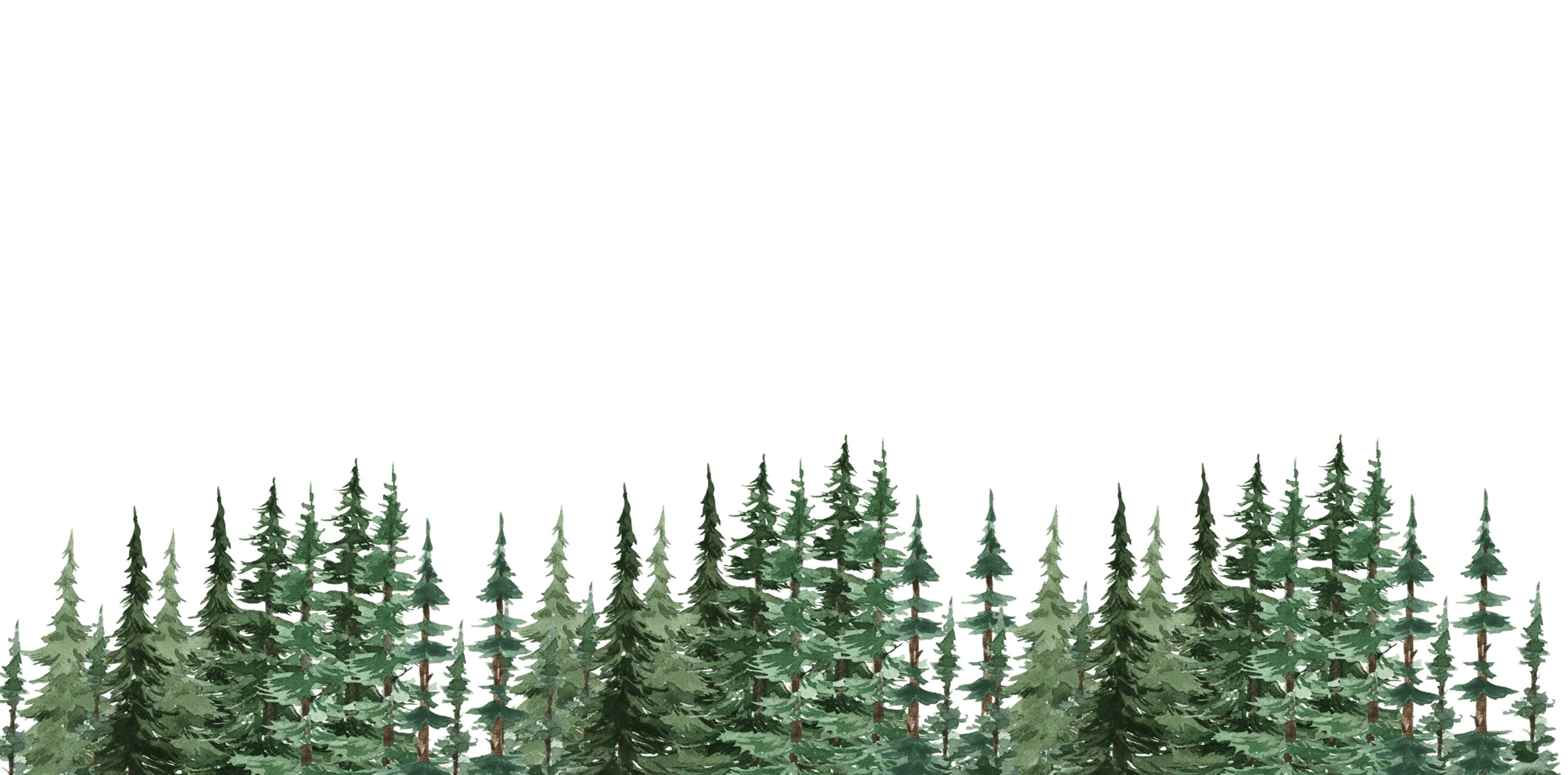 bg-image