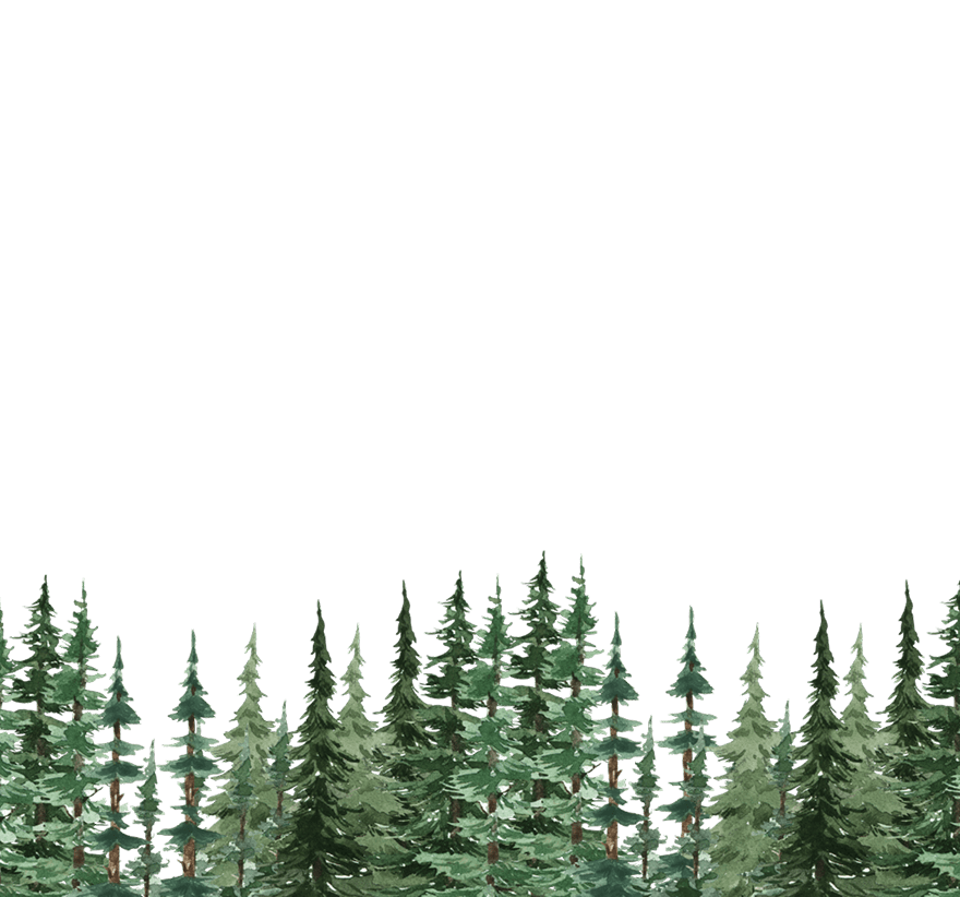 bg-image