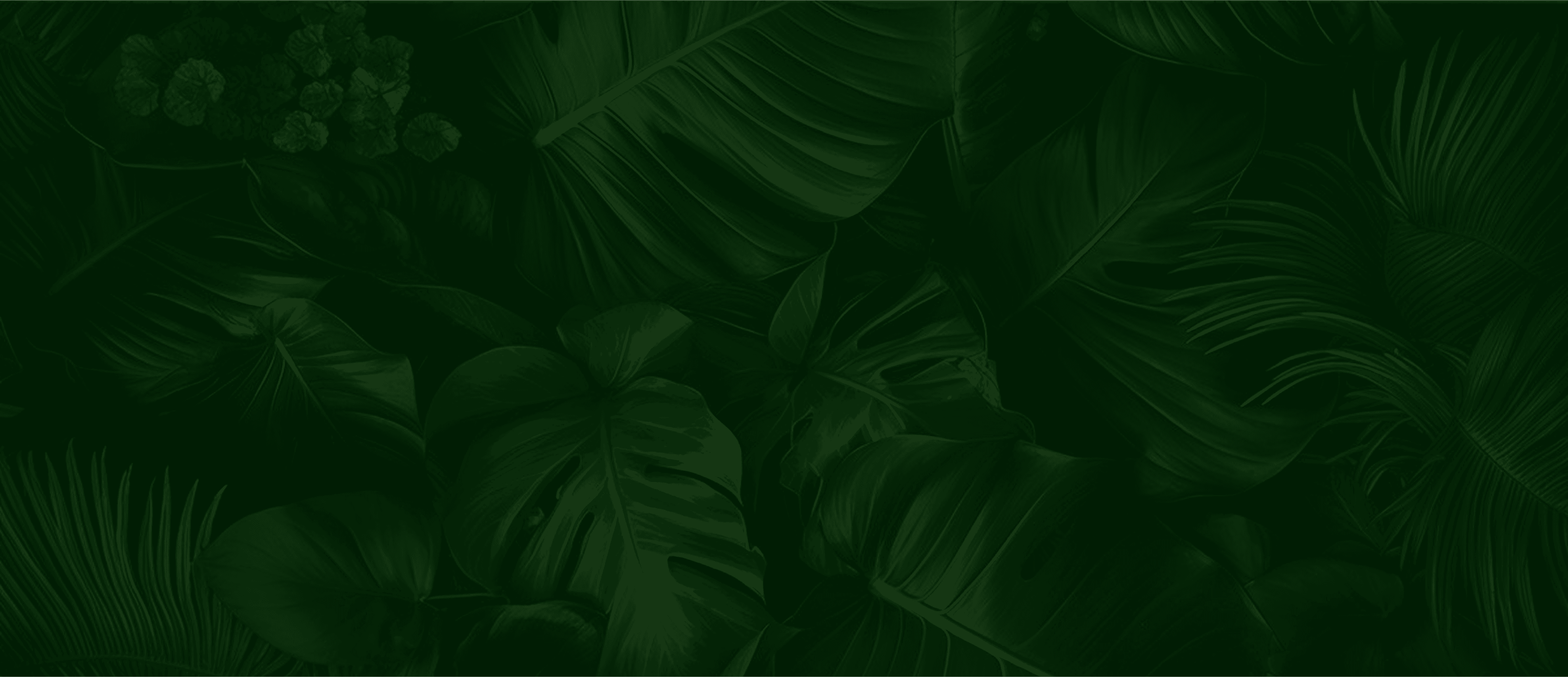 bg-image